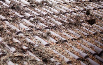 Ardullie roof cleaning companies