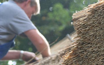 professional Ardullie thatchers