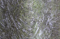 Ardullie fibreglass roof work